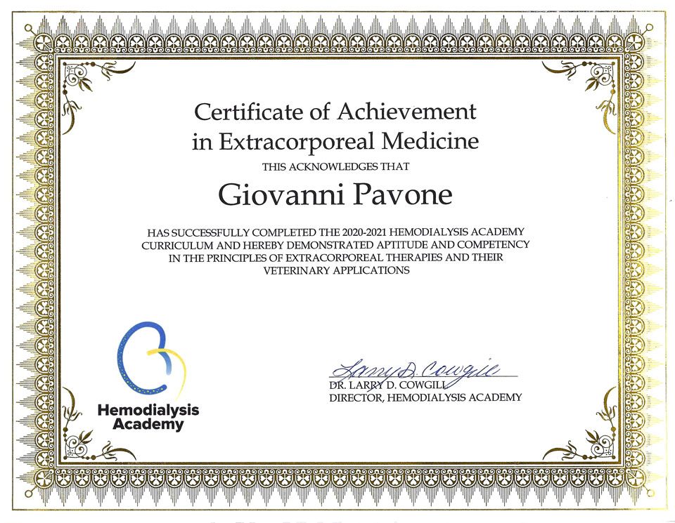 Certificate of Achievement in Extracorporeal Medicine - Hemodialysis Academy dottor Giovanni Pavone