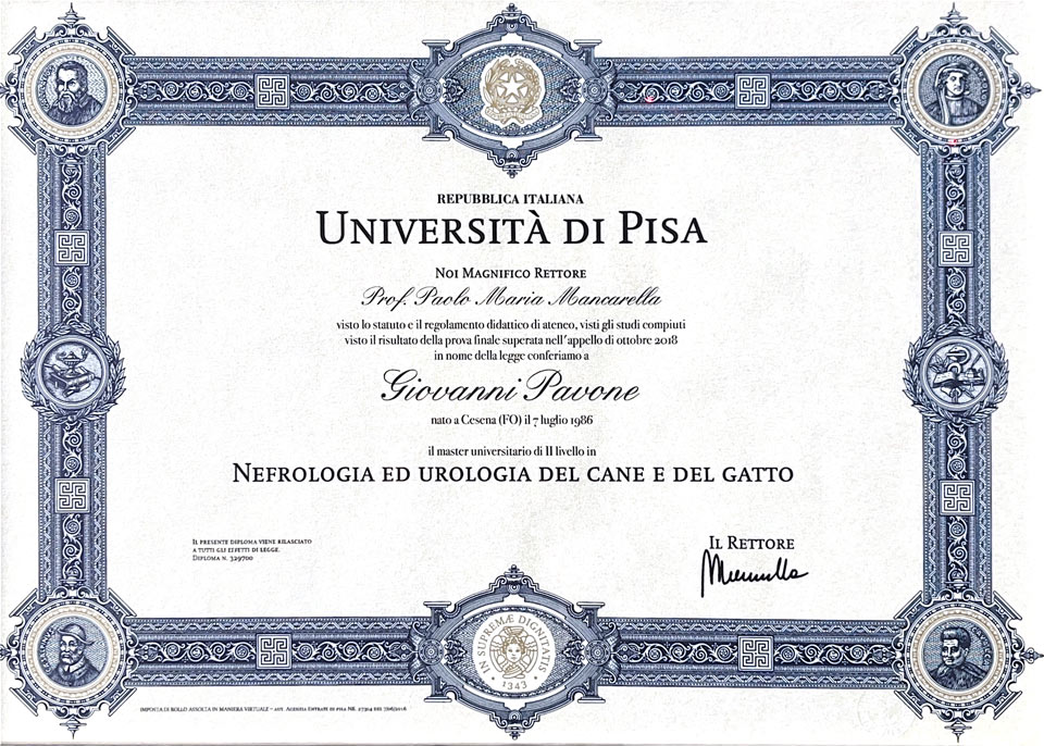 Master Universitario di II livello in nefrologia e urologia - dottor Giovanni Pavone